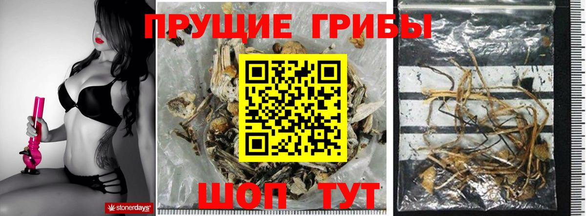 Галлюциногенные грибы ЛСД  Вход с VPN  цены наркотик  Белово 