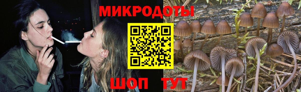 Псилоцибиновые грибы мухоморы Белово